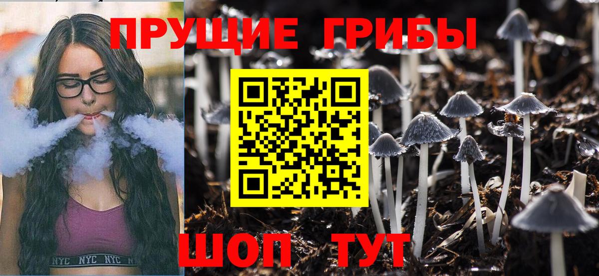 Псилоцибиновые грибы MAGIC MUSHROOMS  как найти закладки  Дагестанские Огни  Вход с VPN 